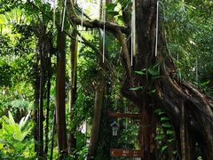 -嘉和K6温泉微度假