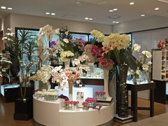 -阪急百货店(梅田总店)