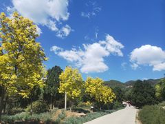 -北京西山国家森林公园