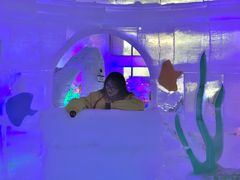-世界之窗阿尔卑斯冰雪世界