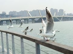 -蠡湖大桥公园