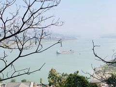 -大渡口区义渡公园