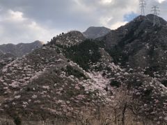 -碓臼峪自然风景区