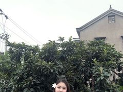 -新紫霞养生·影院足道·SPA(金山区店)