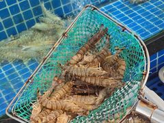 -碧海银沙海鲜餐厅(恒大海上威尼斯店)