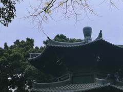 -荔湾湖公园