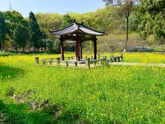 -古隆中景区