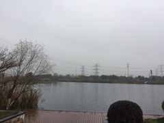 -九里河湿地公园