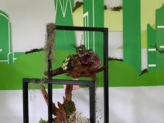 -杭州植物园
