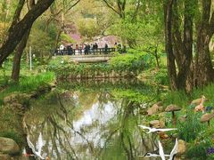 -上海共青森林公园