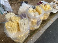 -中山市树木园