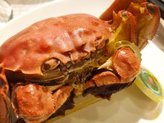 -西贝海鲜汇(槐安路店)