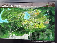 -深圳仙湖植物园