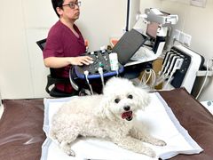 -美联众合动物医院·24h京西诊疗中心