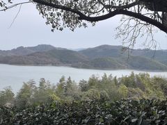 -天目湖涵田度假村