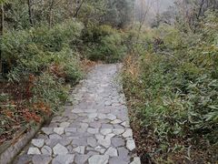 -桃花岭景区