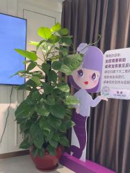 -广州美莱医疗美容医院