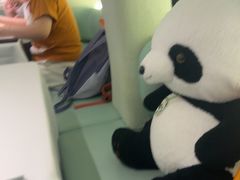 -眉州东坡·熊猫主题餐厅(枫蓝店)