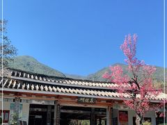 -蝴蝶泉公园
