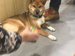 -NOTBAD 须时·咖啡馆