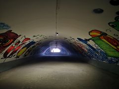 -飞虹鱼馆(春华路店)