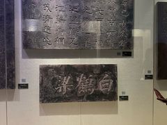 -白鹤梁水下博物馆