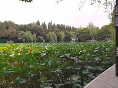 景点-包公祠