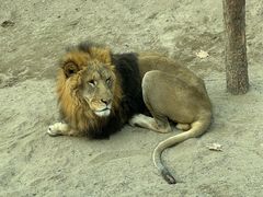 -北京野生动物园