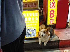 -朱記糯米蛋糕(千川百货店)