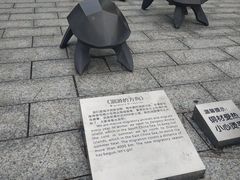 -广东惠东海龟国家级自然保护区