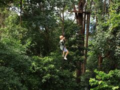 -清迈丛林飞跃 JungleFlight