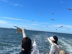 -海驴岛(荣成市)