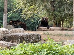 -北京野生动物园