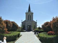 -泗洪洪泽湖湿地景区