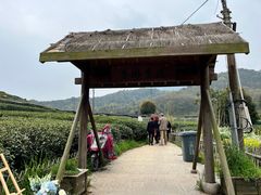 -听风阁农家私房菜茶楼(龙坞店)