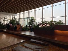 -Seesaw Coffee(朝阳大悦城店)