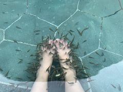 -苏州湾·王焰温泉