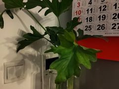 -循礼门鲜花花市(武汉循礼门店)