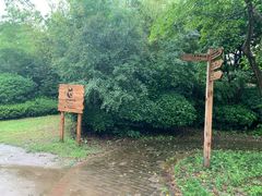 -上海崇明金茂凯悦酒店