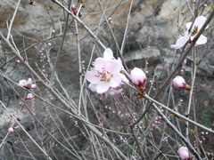 -狼牙山风景区