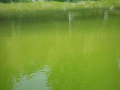 -北京张裕爱斐堡酒庄