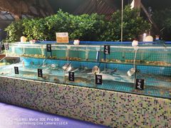 -渔家火锅·海鲜自助餐·演艺(亚龙湾天域酒店)