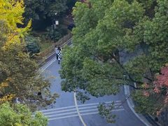 -岳麓山风景名胜区