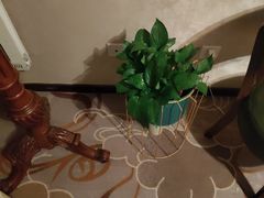 -巴拉吉·SPA·按摩养生馆