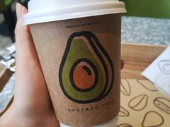 -油梨树AVOCADO TREE(望京店)