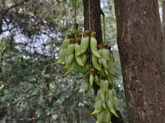 -火炉山森林公园