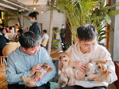 -the rug 飞毯 (朝阳公园店)
