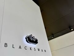-BLACKSWAN黑天鹅(环球店)