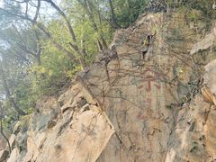 -上海佘山国家森林公园西佘山园