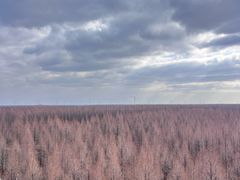 -黄海国家森林公园